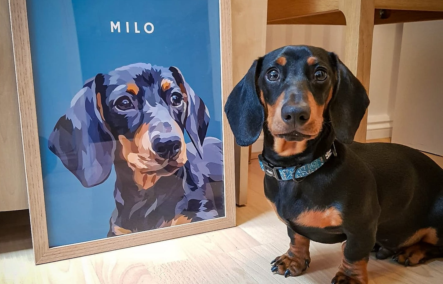 Custom Hand-drawn Pet Portraits